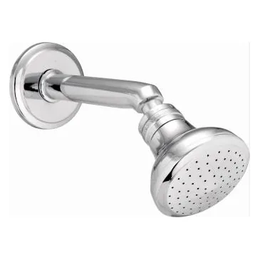 Brass band shower with arm
